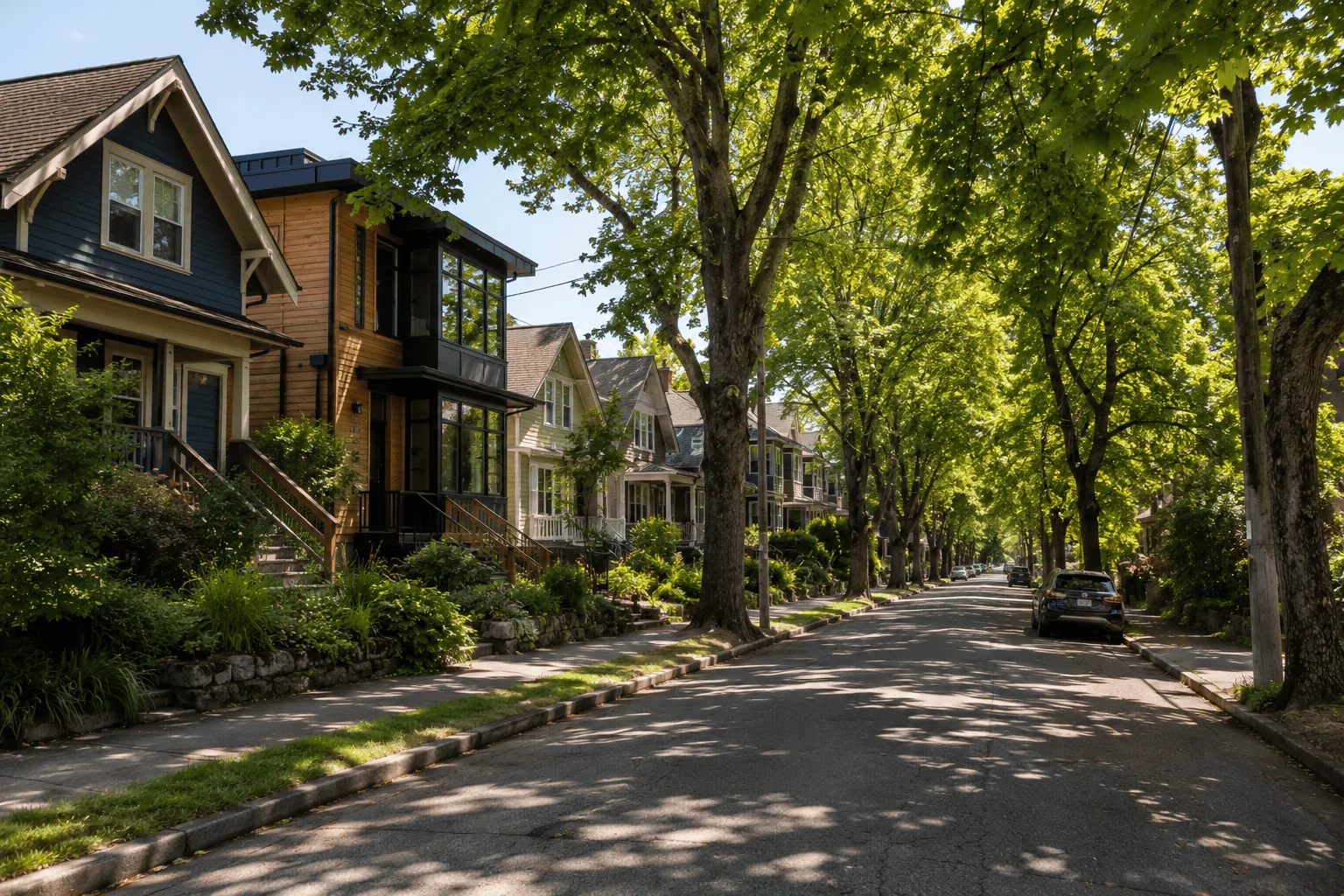 Ballard Seattle tree-lined residential street with craftsman homes